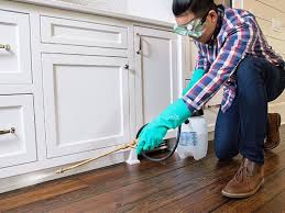 Best Pest Exclusion Services  in Springfield, MN